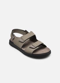 Sandales et mules U FLEXTRIDE T homme vert Geox Sandales et mules U FLEXTRIDE T homme vert DOVE GREY