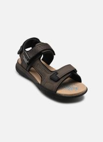 Sandales et mules U SPHERICA EC5 B homme vert Geox Sandales et mules U SPHERICA EC5 B homme vert DOVE GREY/BLACK