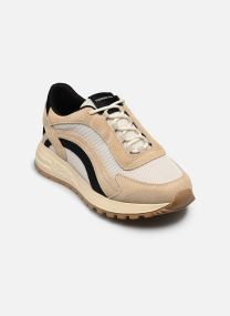 Baskets Twist 2.25 femme marron