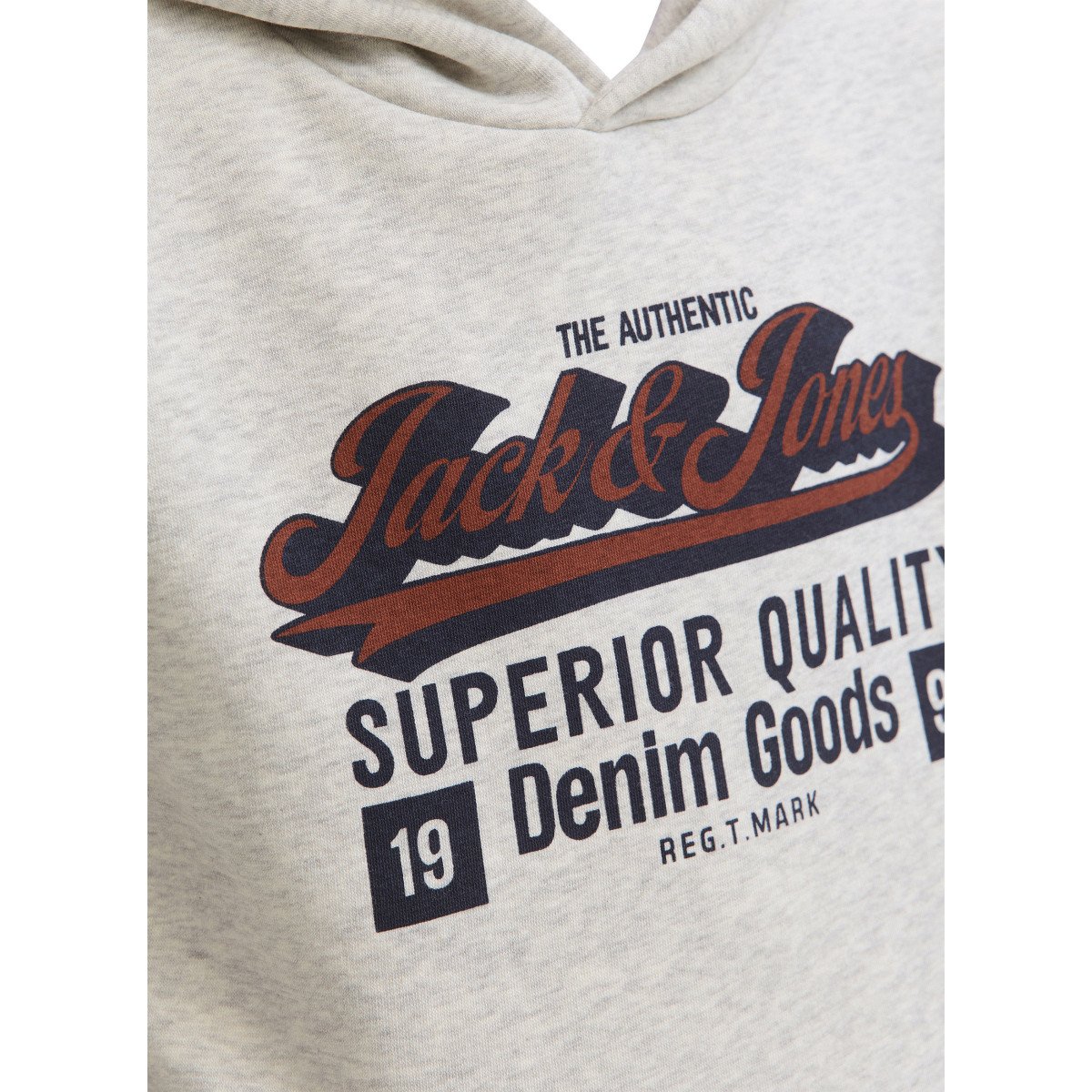 Sweat à capuche décontracté en mélange de coton : confort