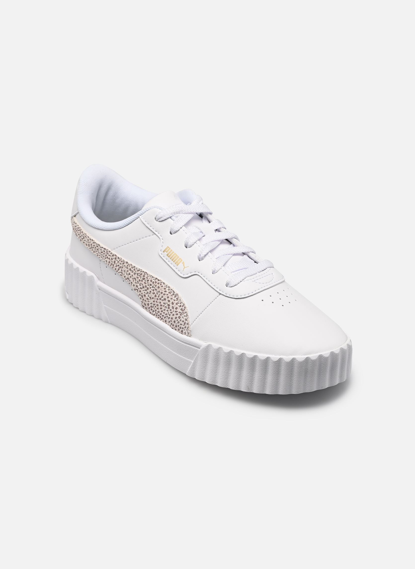 Puma Carina 3.0 Topcat - vue 7