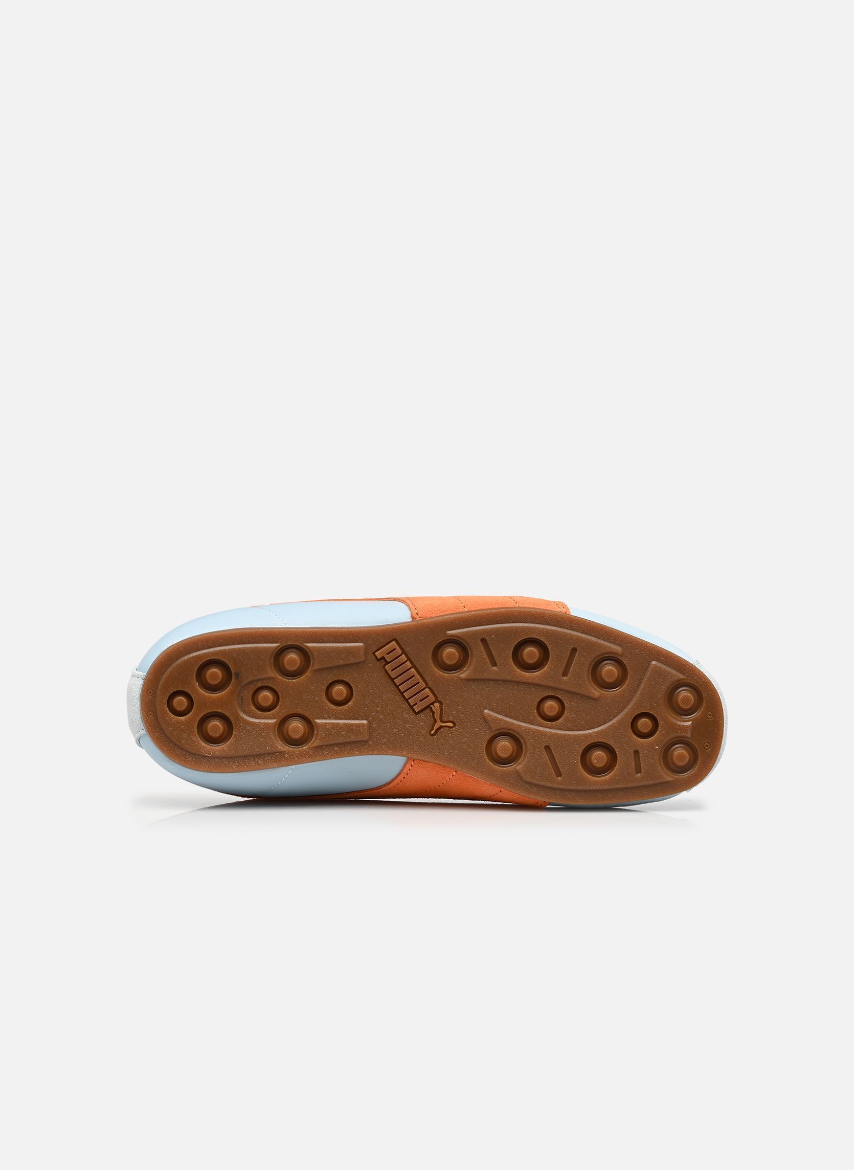 Baskets basses Puma Tackle Nylon bleu Puma Baskets basses Puma Tackle Nylon bleu FRESH WATER-MELON GLOW-GUM
