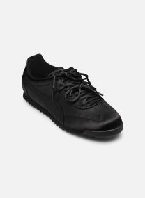 Niedrige Sneaker Arizona Venus Wns damen schwarz Puma Niedrige Sneaker Arizona Venus Wns damen schwarz Puma Black-Puma Black
