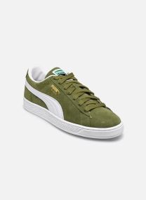Baskets basses Suede Classic M homme marron