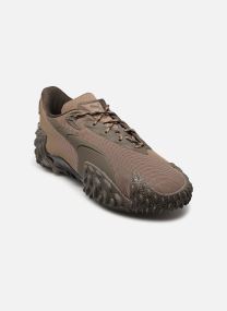 Baskets basses Mostro X Dots M homme marron