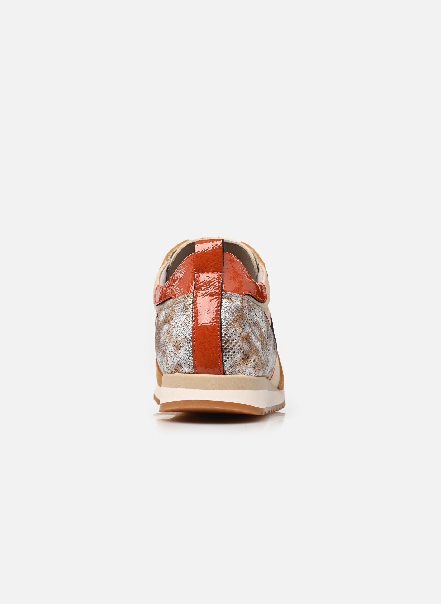 Baskets basses SWIM D9718 femme marron Dorking Baskets basses SWIM D9718 femme marron CALF CAMEL C-2 CAMEL C-2
