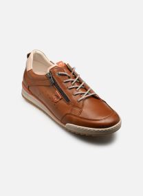 Baskets basses ELDER F2384 homme bleu