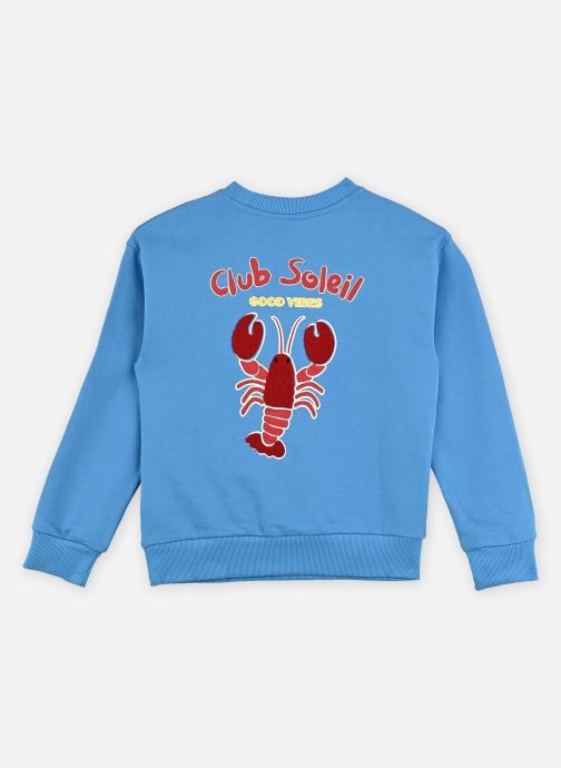Kids around Sweats zippés L00016 garçon bleu