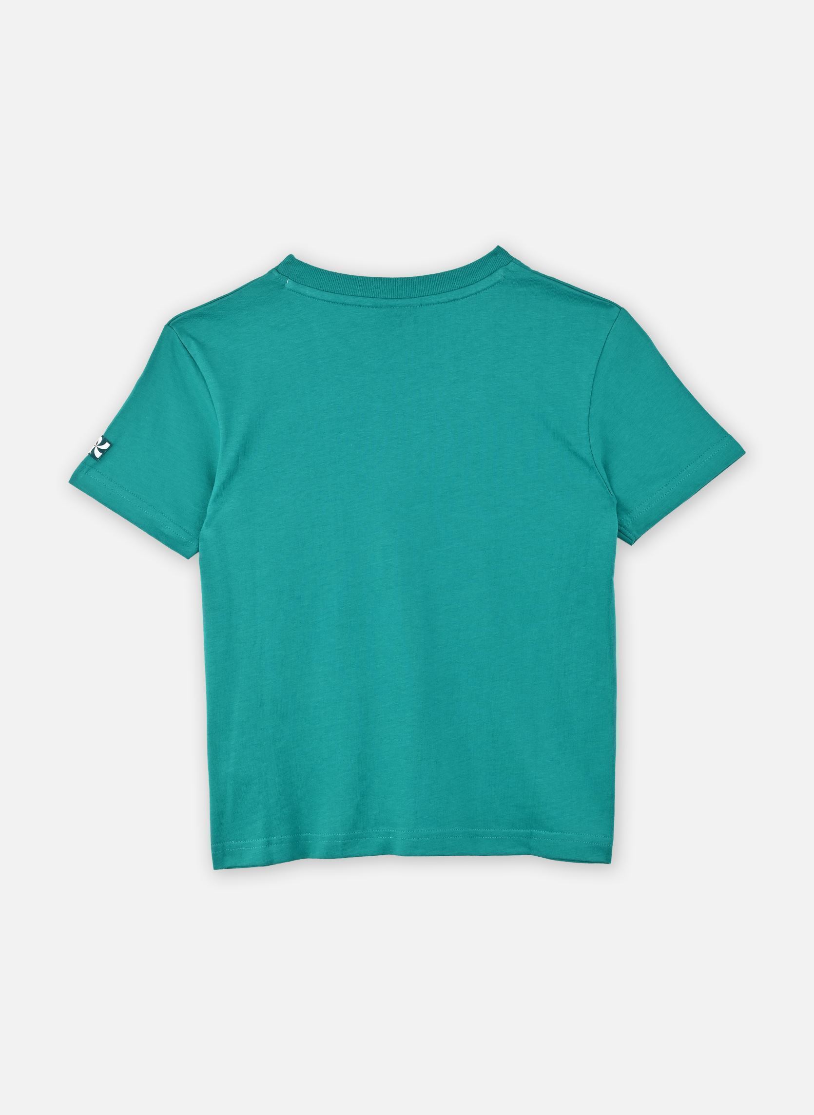 Tee-shirts manches courtes L00017 garçon vert Kids around Tee-shirts manches courtes L00017 garçon vert VERT THE