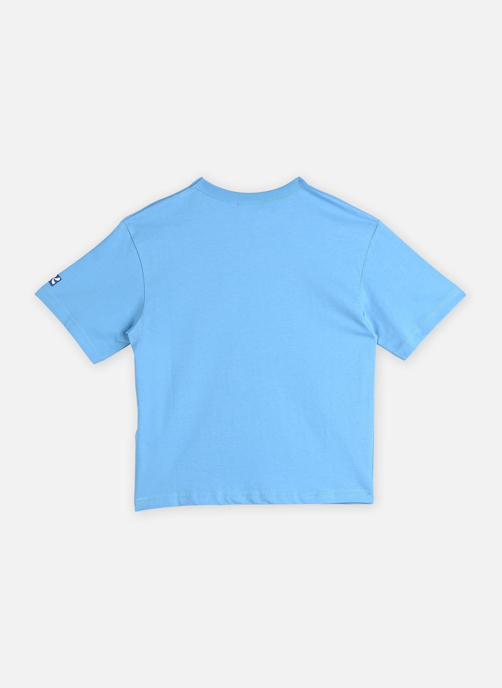 Tee-shirts manches courtes L00038 garçon marron Kids around Tee-shirts manches courtes L00038 garçon marron BLEU