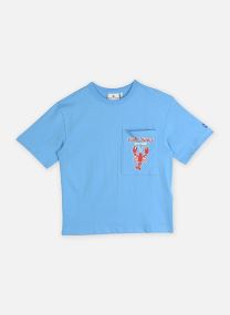 Tee-shirts manches courtes L00038 garçon marron Kids around Tee-shirts manches courtes L00038 garçon marron BLEU