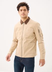 Bomberjacken Hebwin Men herren beige