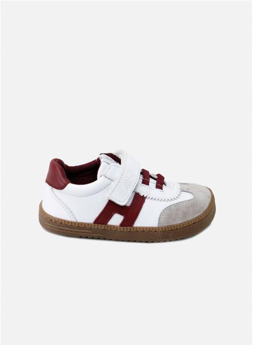 Eli 1957 Baskets basses 58009AM-VELOUR-PERLINE garçon blanc