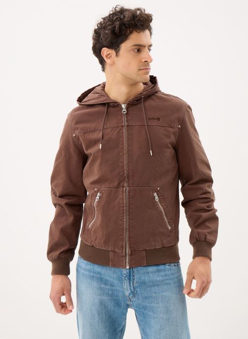 Schott Vestes Blouson-CADEN homme marron