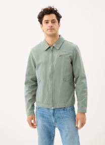 Vestes Blouson-CALHAN homme vert
