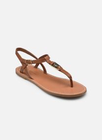 Sandales LEATHER THONG SANDAL femme or et bronze