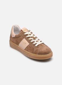 Baskets basses E613005D femme marron