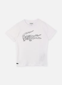 Tee-shirts manches courtes Script Croc Graphic Tee garçon bleu