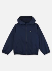 Wasserdichte Windbreaker / Wasserdichte Windjacken Lacoste Windbreaker jungen blau