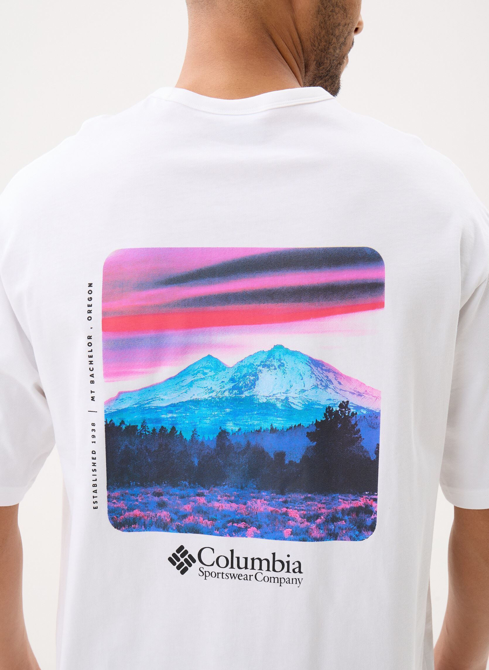 Tee-shirts manches courtes CSC™ Heavyweight Back Graphic Tee homme beige Columbia Tee-shirts manches courtes CSC™ Heavyweight Back Graphic Tee homme beige WHITE, PHOTOREAL CMYK