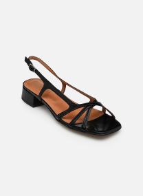 Sandales ARGOS femme noir Jonak Sandales ARGOS femme noir cuir brillant noir