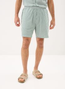 Shorts Boxer Short-0057T homme vert Levi's Shorts Boxer Short-0057T homme vert Aldwyn Stripe Eden