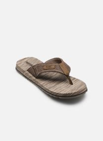 Tongs Quill - Sea Side homme marron