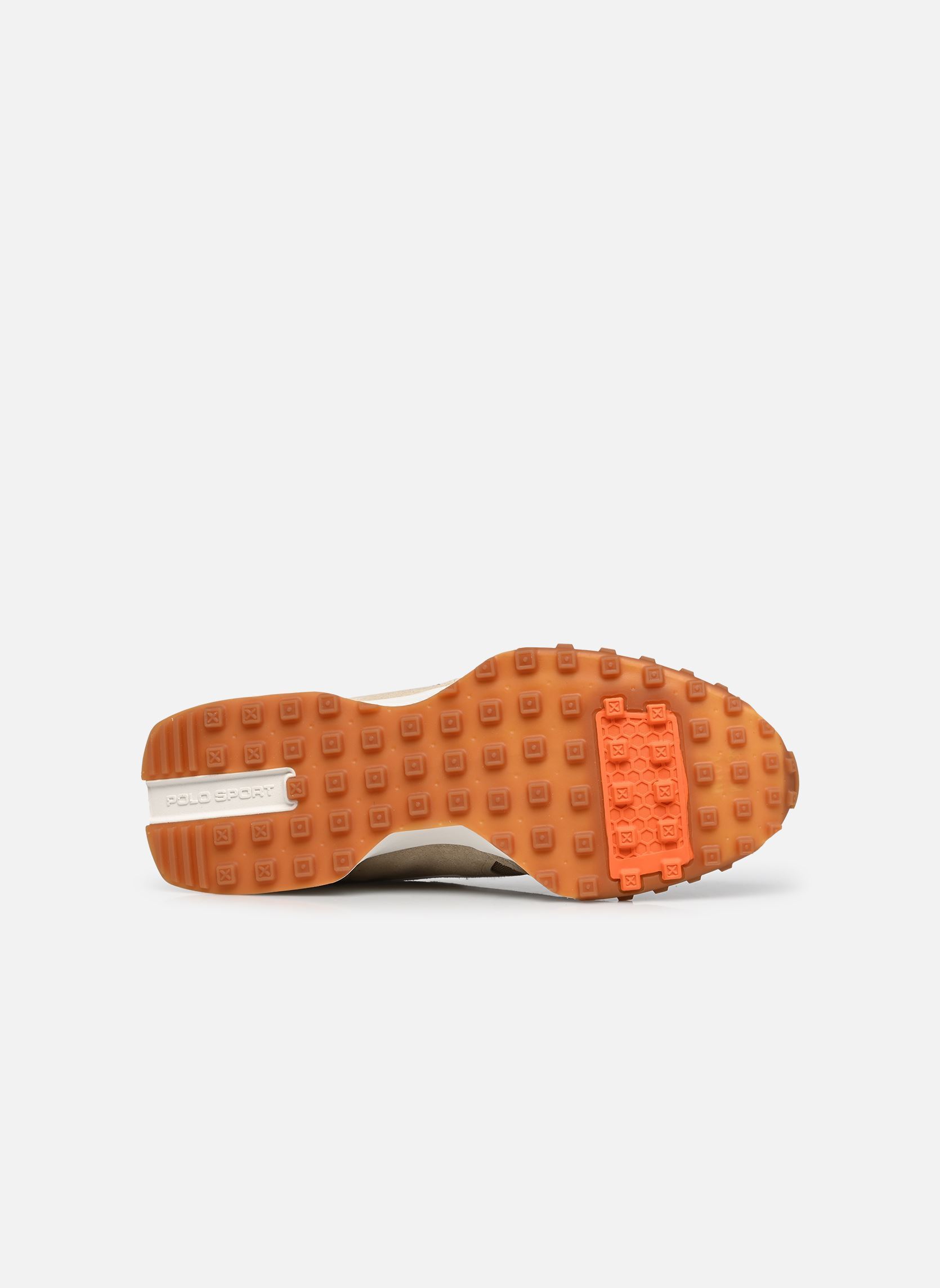 Baskets basses ELDRIDGE homme beige Polo Ralph Lauren Baskets basses ELDRIDGE homme beige SEPIA TINT/COSTL BEGE/BDFD ORG