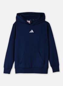 Sweats à capuche J SL FL HD 225 bleu