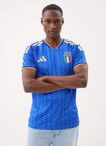T-Shirts FIGC H JSY herren blau