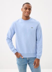 Sweatshirts Sweatshirt SH9801 herren grün