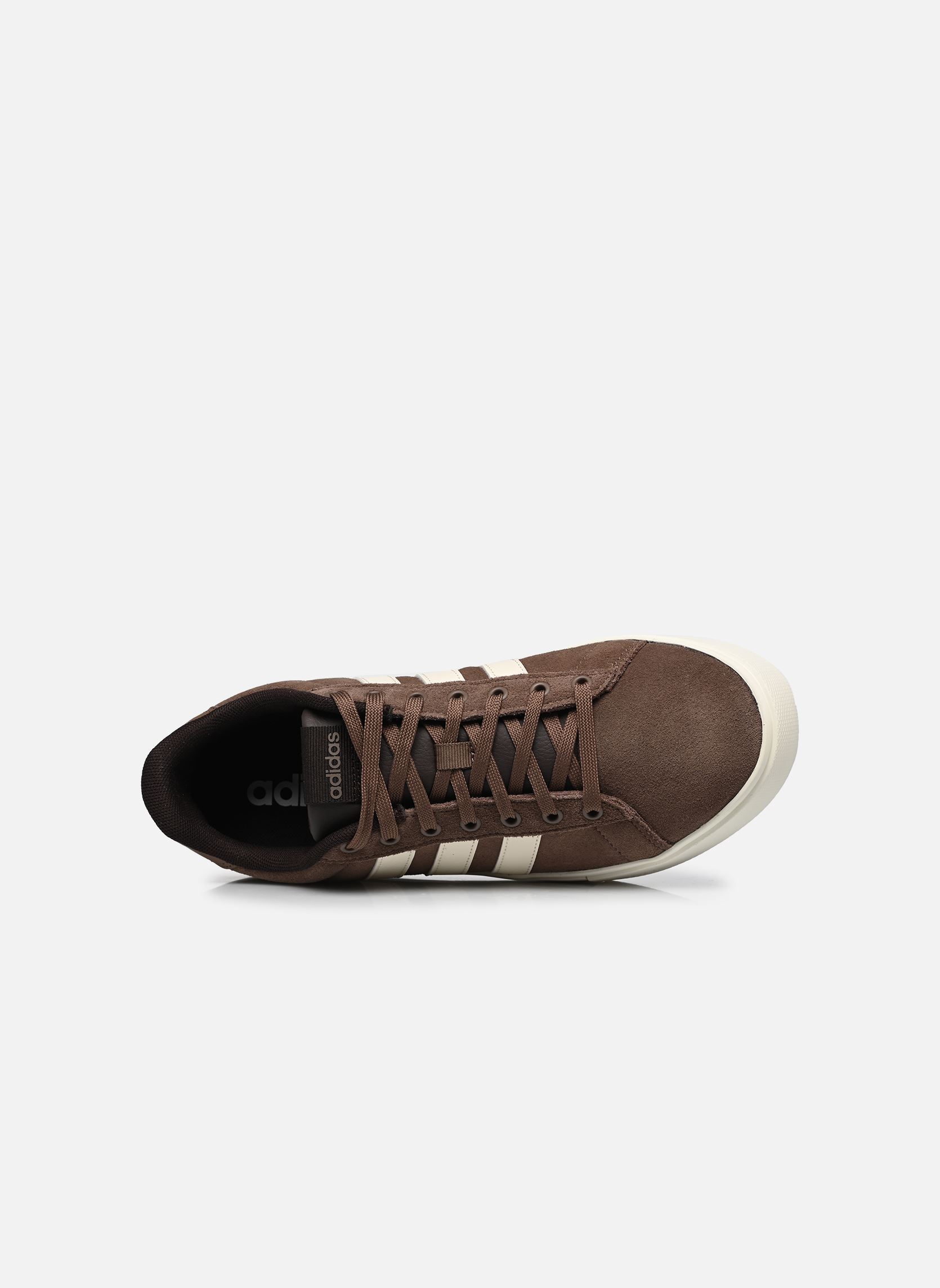 Sneakers DAILY 4.0 W M heren bruin adidas sportswear Sneakers DAILY 4.0 W M heren bruin EARSTR/OWHITE/AUCO