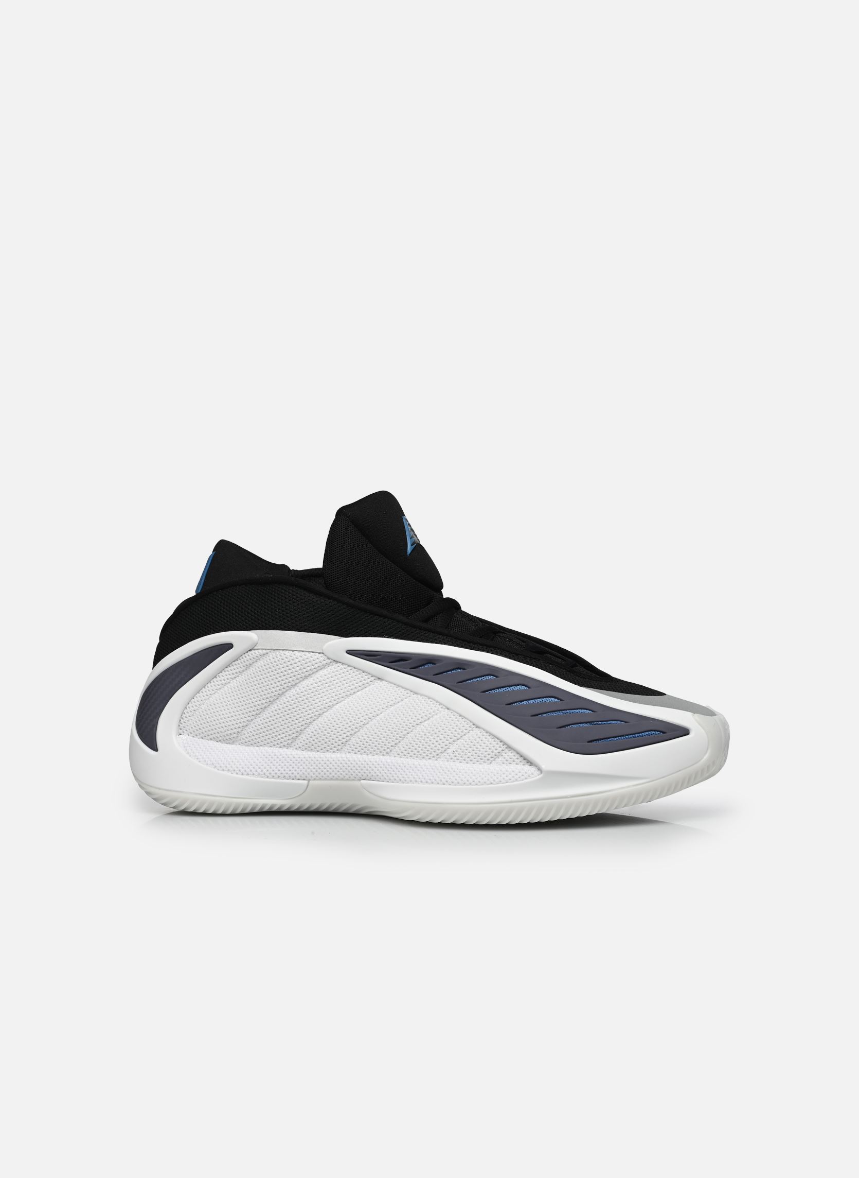 Chaussures de sport ANTHONY EDWARDS 2 W M homme blanc adidas sportswear Chaussures de sport ANTHONY EDWARDS 2 W M homme blanc FTWWHT/CBLACK/DUIN