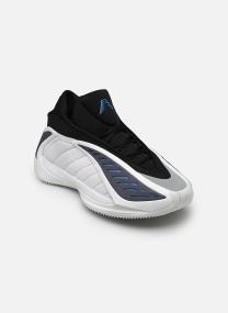 Chaussures de sport ANTHONY EDWARDS 2 W M homme blanc