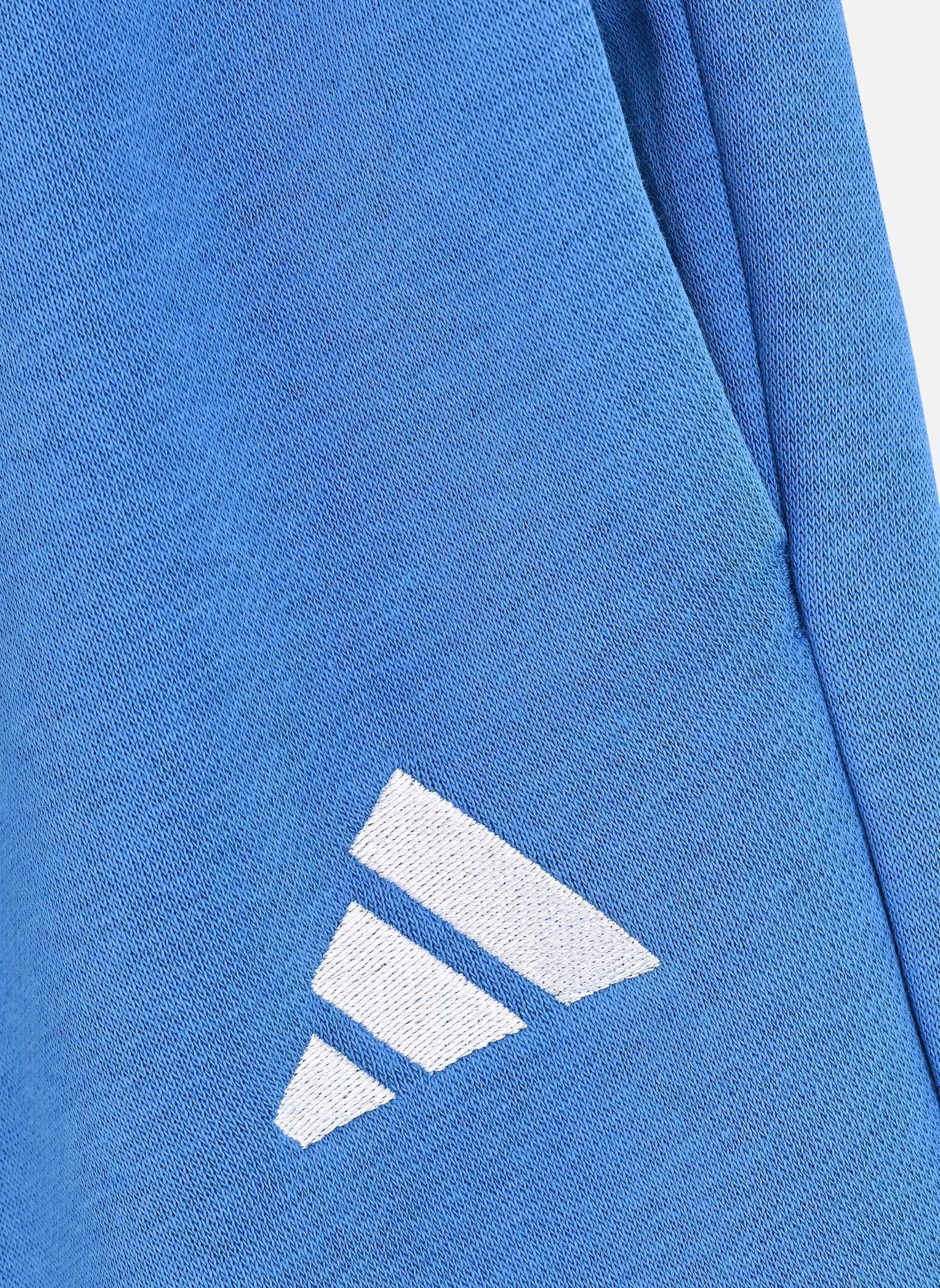 Hosen J SL FL PT 225 blau adidas sportswear Hosen J SL FL PT 225 blau RAYBLU/WHITE
