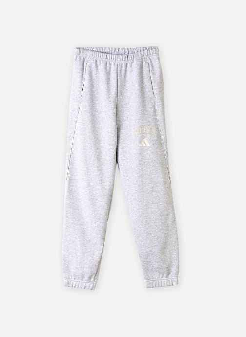 adidas sportswear Hosen J CLGT FL PNT grau