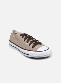 Niedrige Sneaker Chuck Taylor All Star Color Pop Ox jungen braun Converse Niedrige Sneaker Chuck Taylor All Star Color Pop Ox jungen braun VINTAGE CARGO/SUNNY OUTLOOK