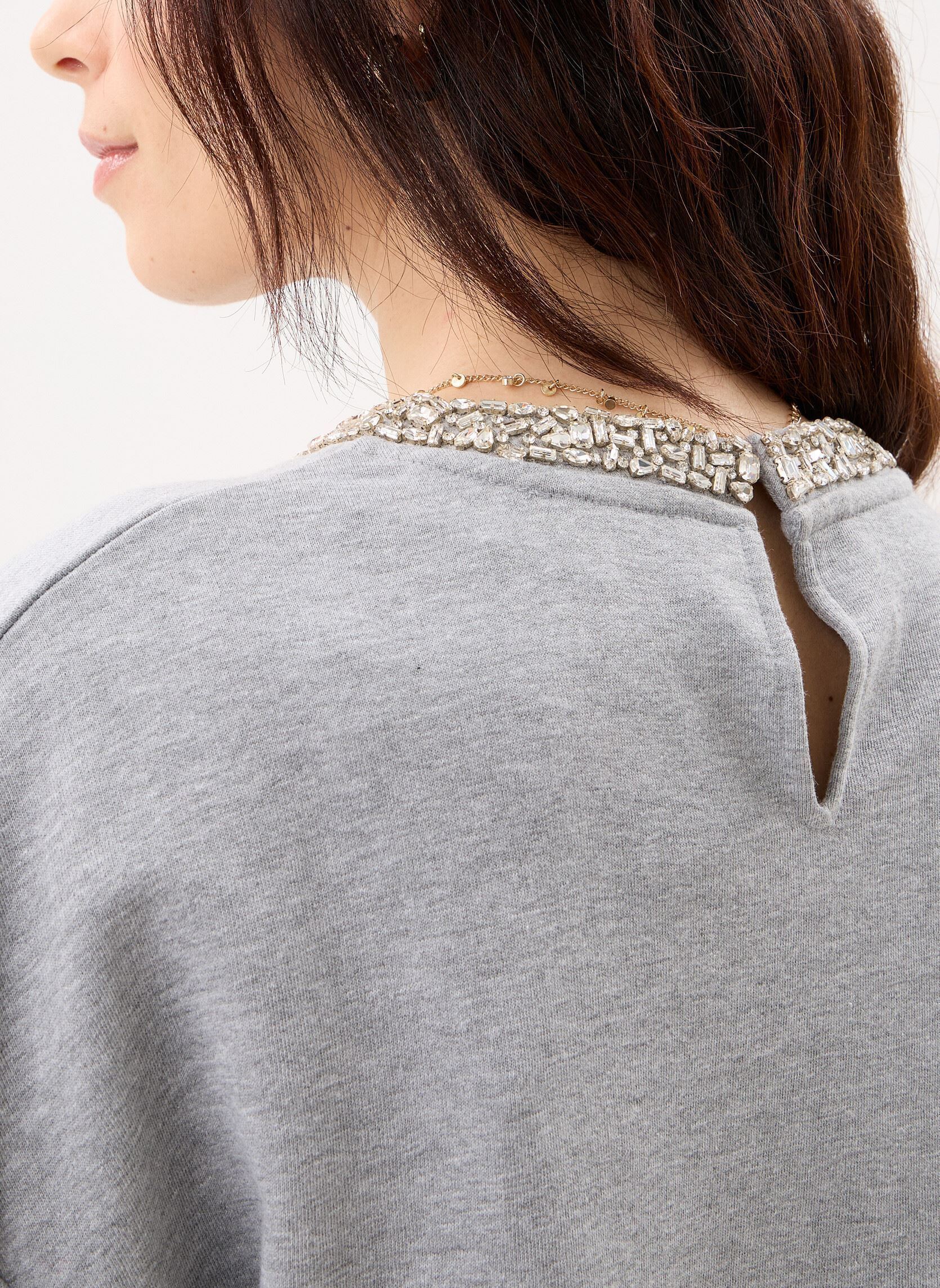 Sweater B315045 dames grijs IKKS Women Sweater B315045 dames grijs 20-GRIS CHINÉ CLAIR