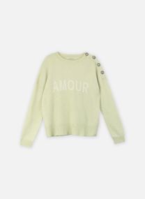 Pulls B318115 femme vert IKKS Women Pulls B318115 femme vert 05-AMANDE