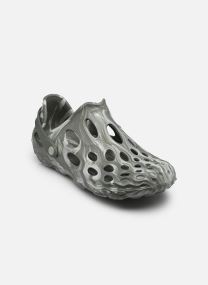 Sandales et mules HYDRO MOC homme violet Merrell Sandales et mules HYDRO MOC homme violet PALE IVY