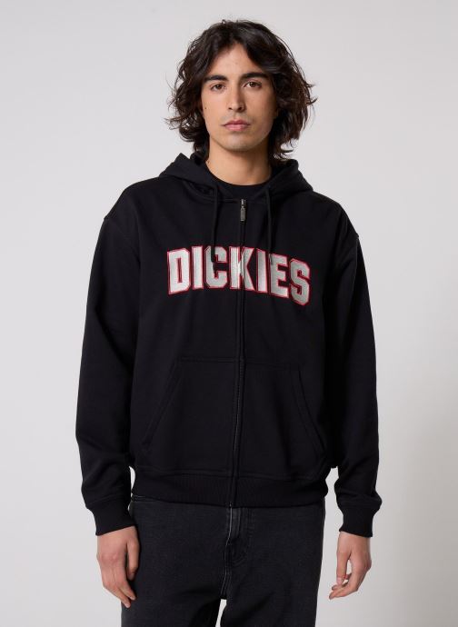 Dickies Sweats zippés Aitkin Zt Hoodie homme noir