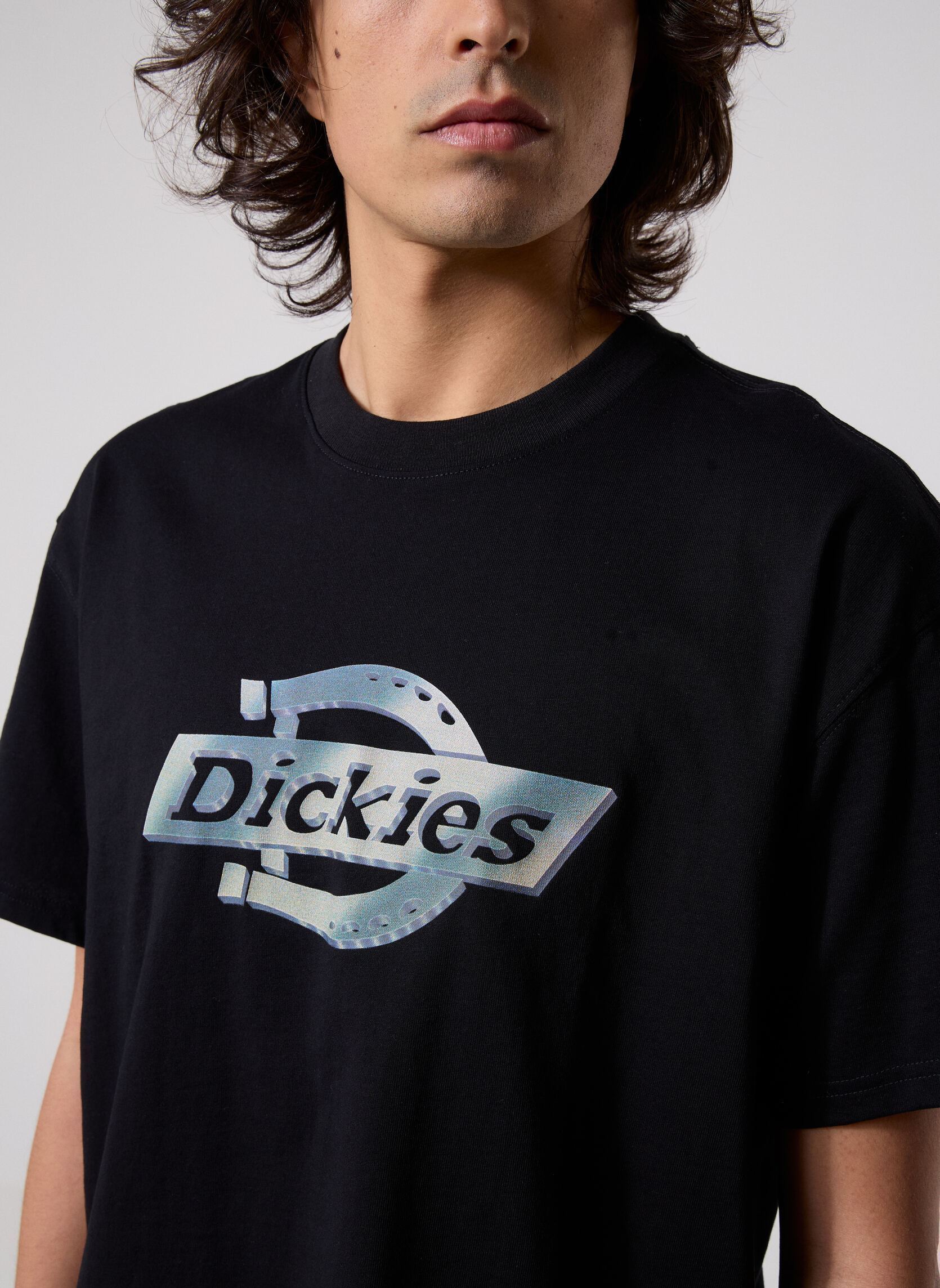 Kurzarm-T-Shirts Rarden Ss Tee herren schwarz Dickies Kurzarm-T-Shirts Rarden Ss Tee herren schwarz BLACK