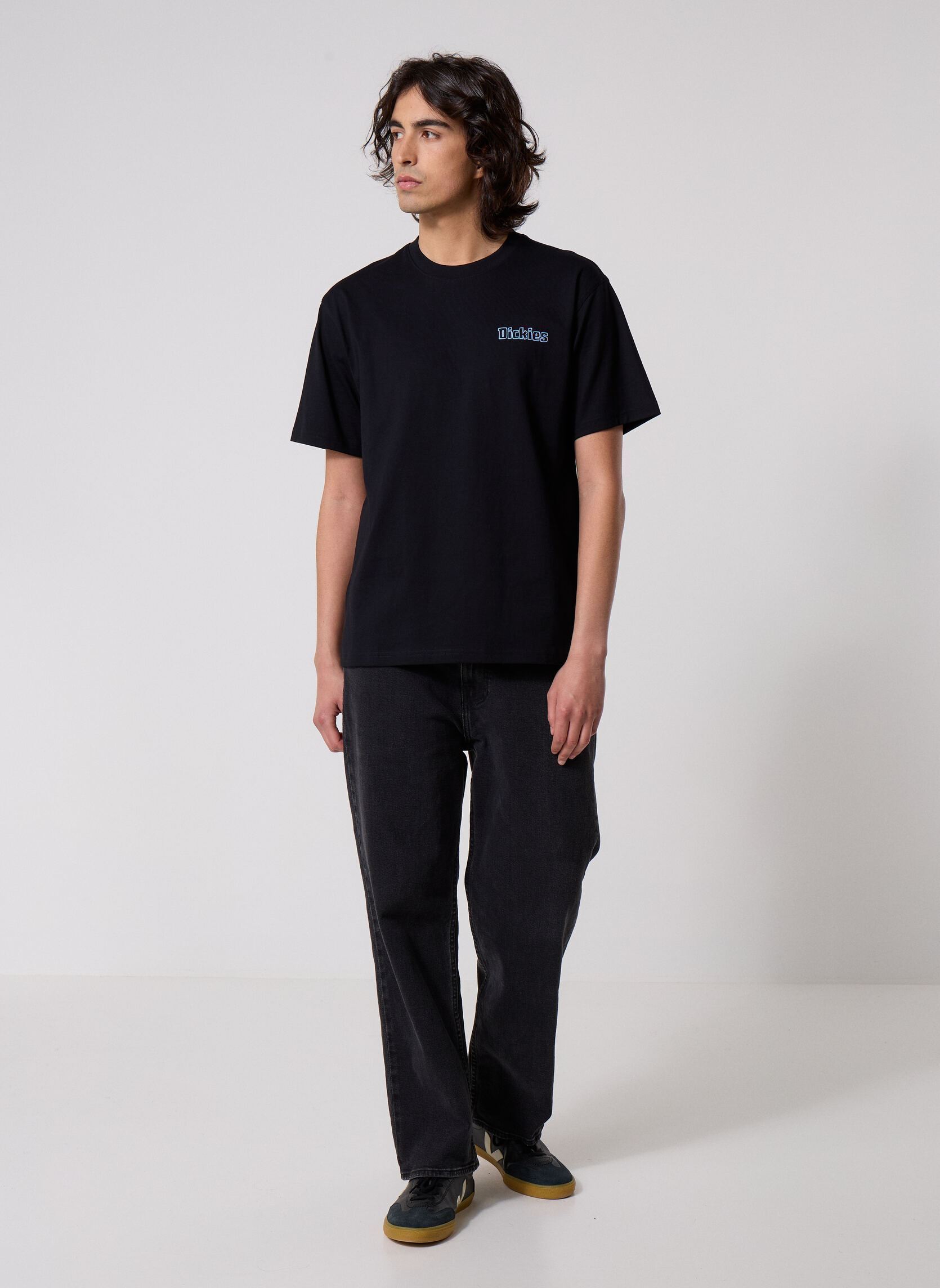 Tee-shirts manches courtes Fairlawn Ss Tee homme noir Dickies Tee-shirts manches courtes Fairlawn Ss Tee homme noir BLACK