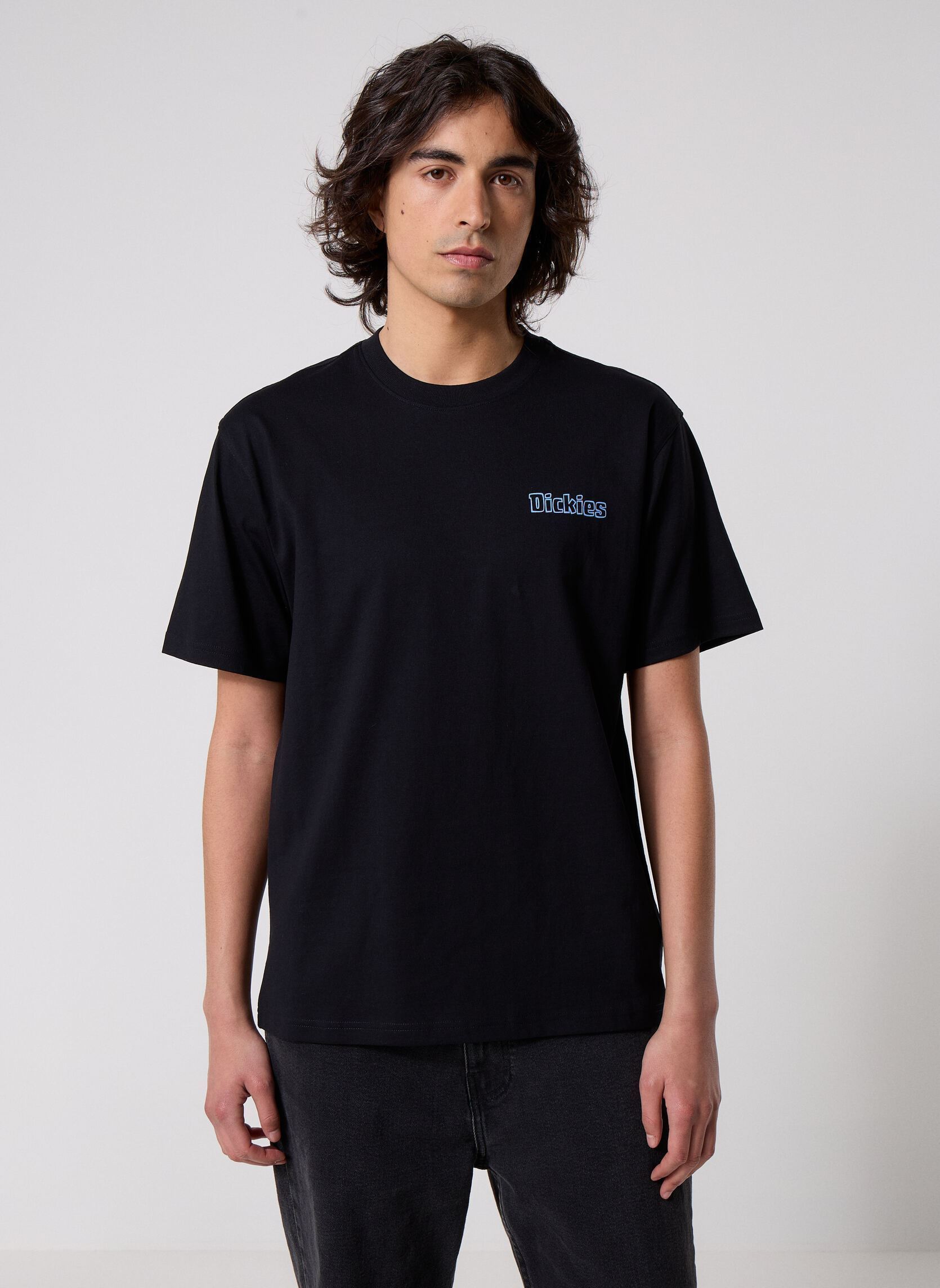 Tee-shirts manches courtes Fairlawn Ss Tee homme noir Dickies Tee-shirts manches courtes Fairlawn Ss Tee homme noir BLACK
