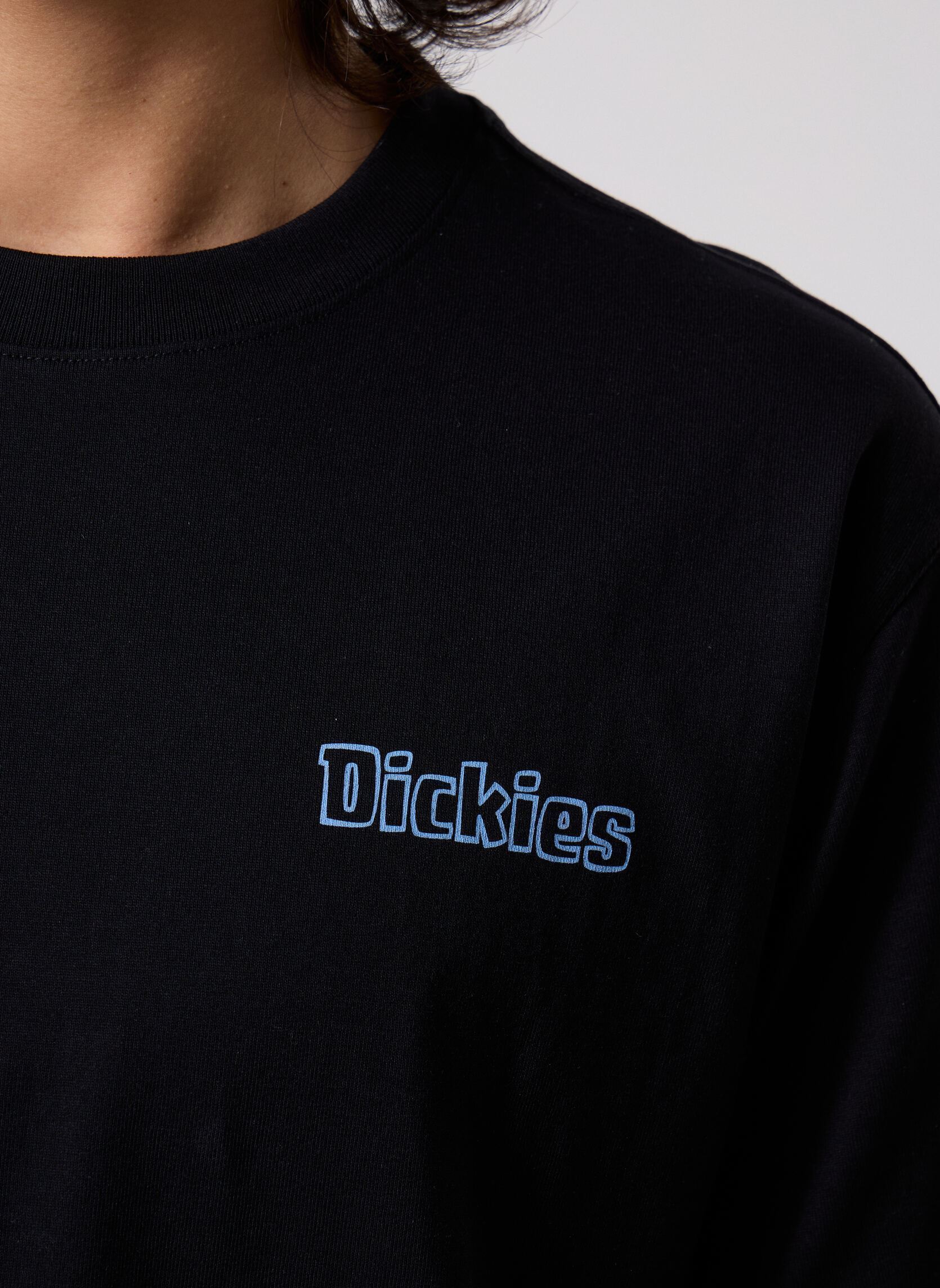 Tee-shirts manches courtes Fairlawn Ss Tee homme noir Dickies Tee-shirts manches courtes Fairlawn Ss Tee homme noir BLACK