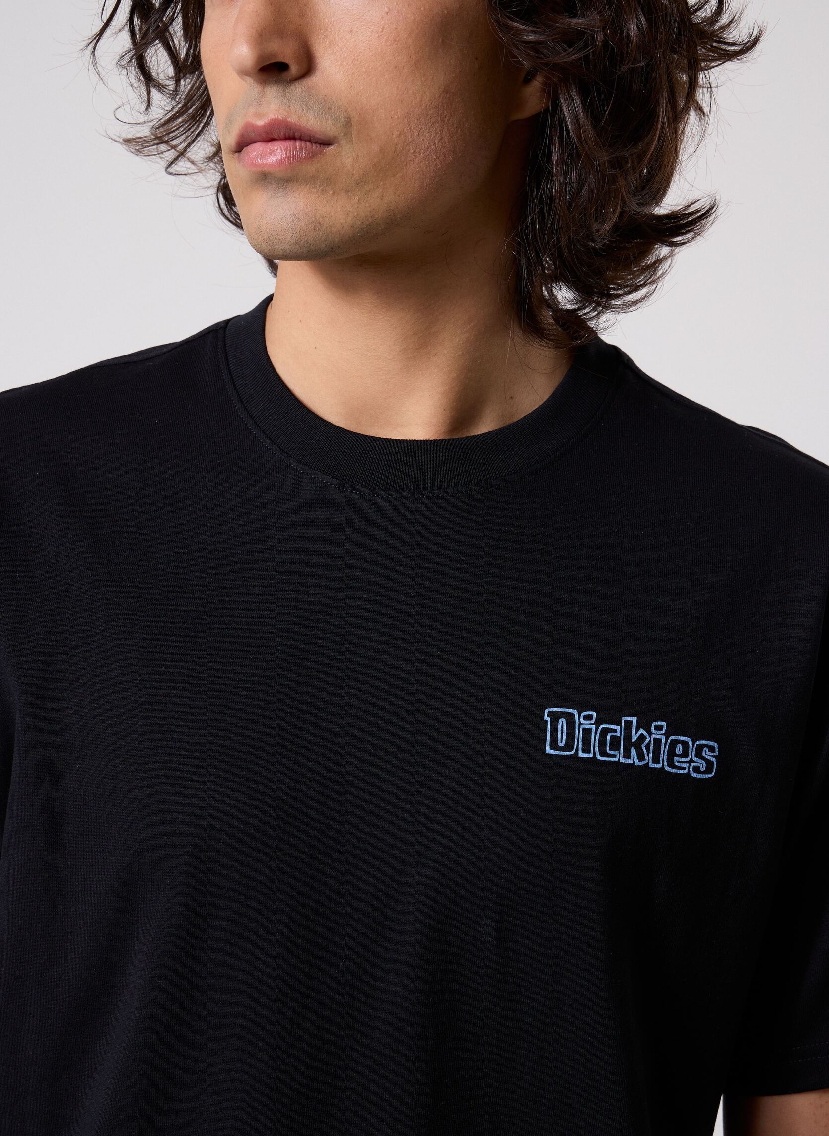 Tee-shirts manches courtes Fairlawn Ss Tee homme noir Dickies Tee-shirts manches courtes Fairlawn Ss Tee homme noir BLACK
