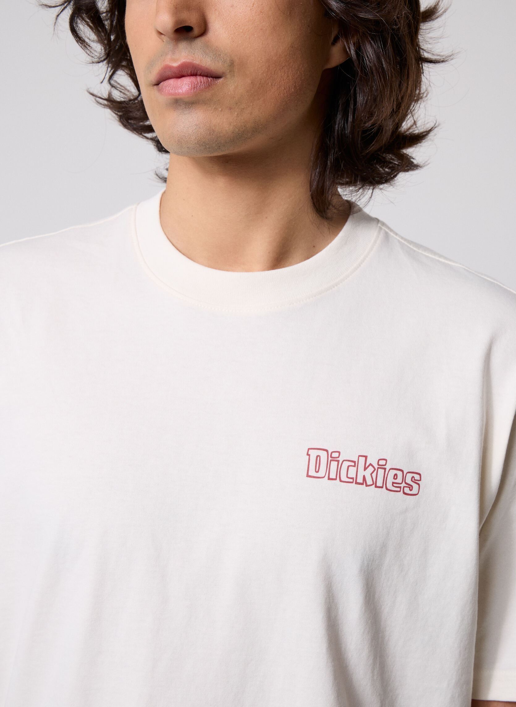 T-shirts met korte mouwen Fairlawn Ss Tee heren wit Dickies T-shirts met korte mouwen Fairlawn Ss Tee heren wit EGRET