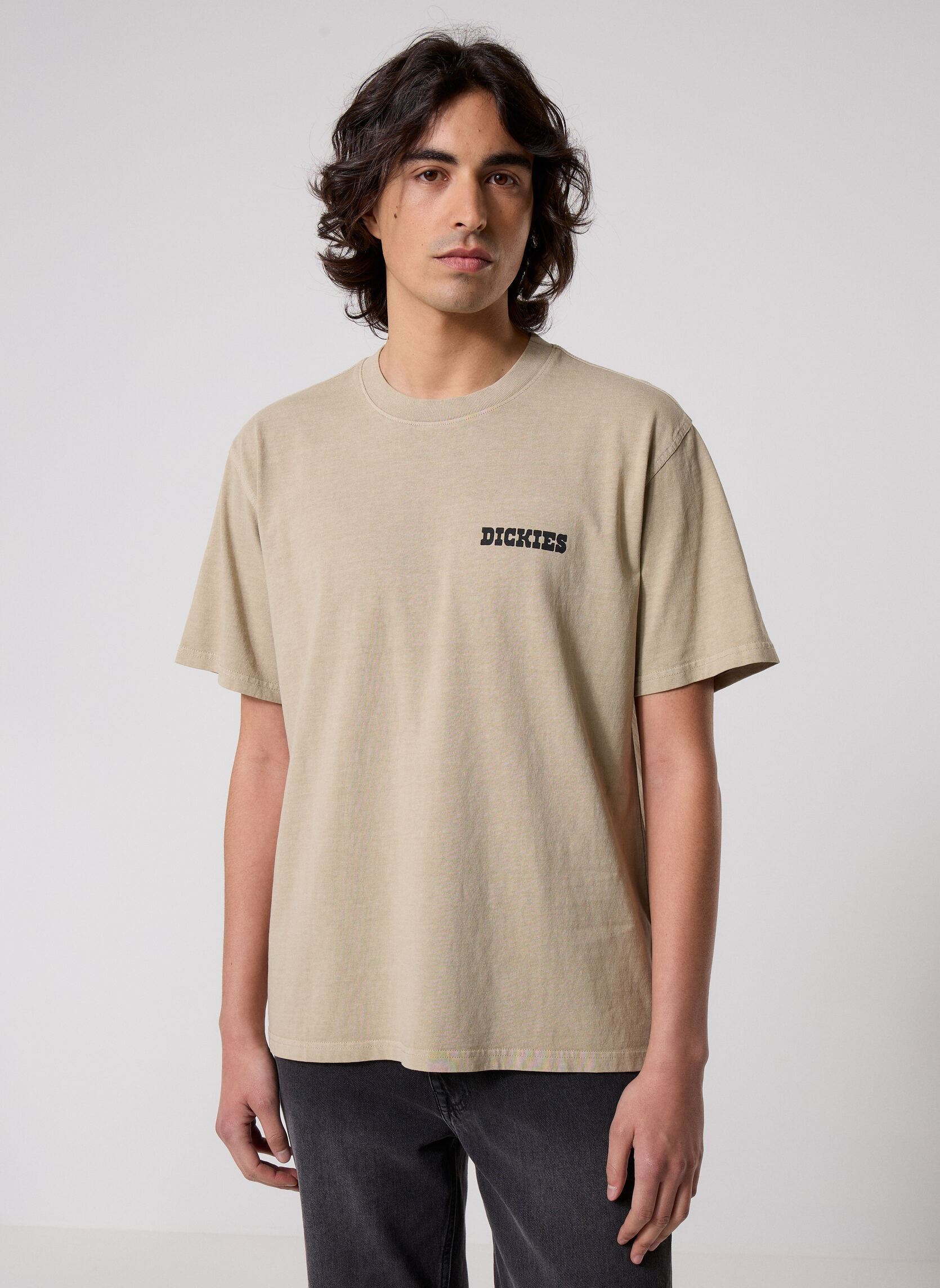 Kurzarm-T-Shirts Darrtown Ss Tee herren beige Dickies Kurzarm-T-Shirts Darrtown Ss Tee herren beige EUCALYPTUS
