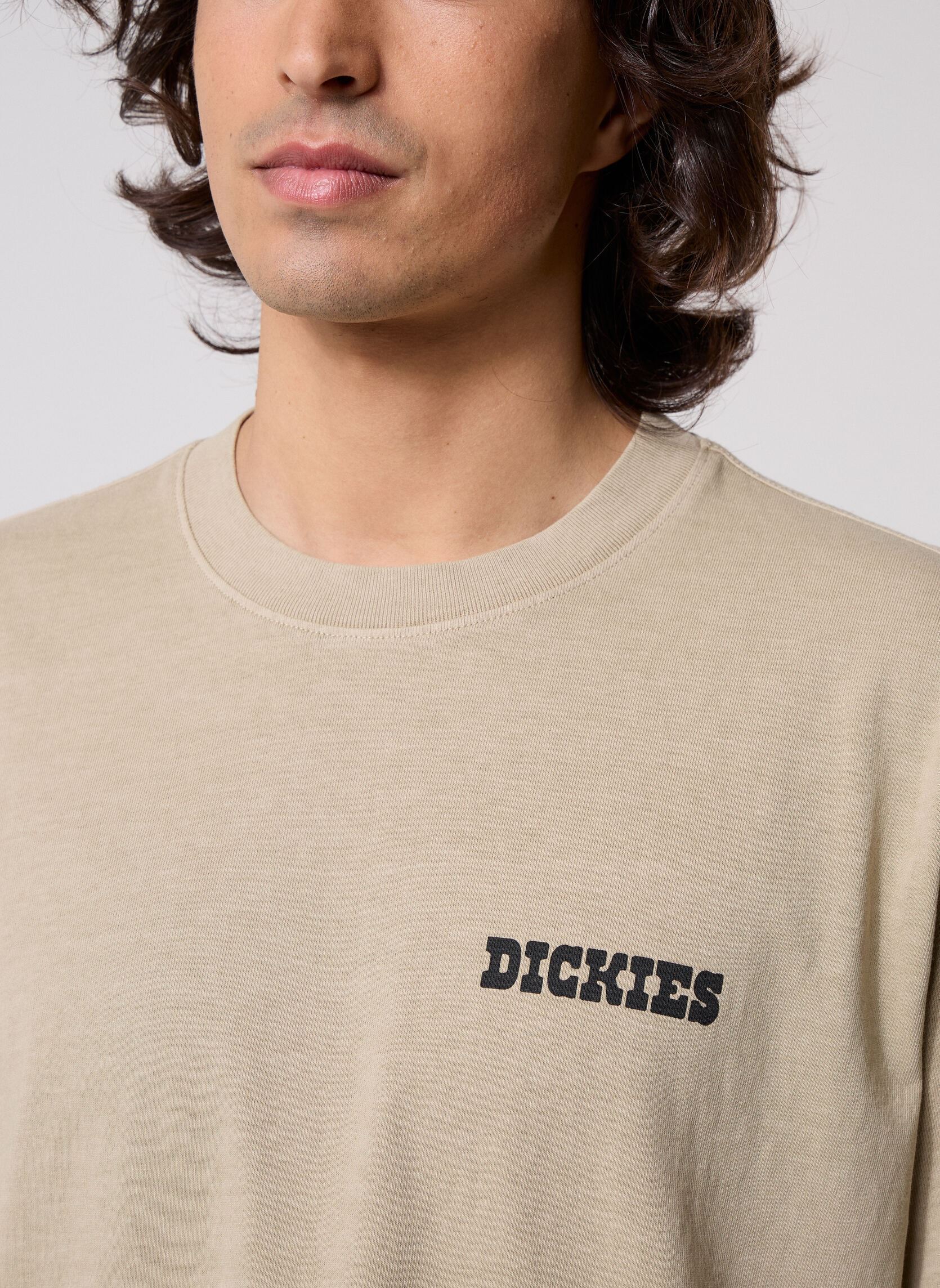 Kurzarm-T-Shirts Darrtown Ss Tee herren beige Dickies Kurzarm-T-Shirts Darrtown Ss Tee herren beige EUCALYPTUS