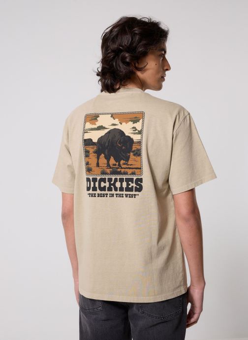 Dickies T-shirts met korte mouwen Darrtown Ss Tee heren beige